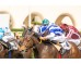  Carrera: P.Rheffissimo Caballo: Scholarship Monta: R.Sousa